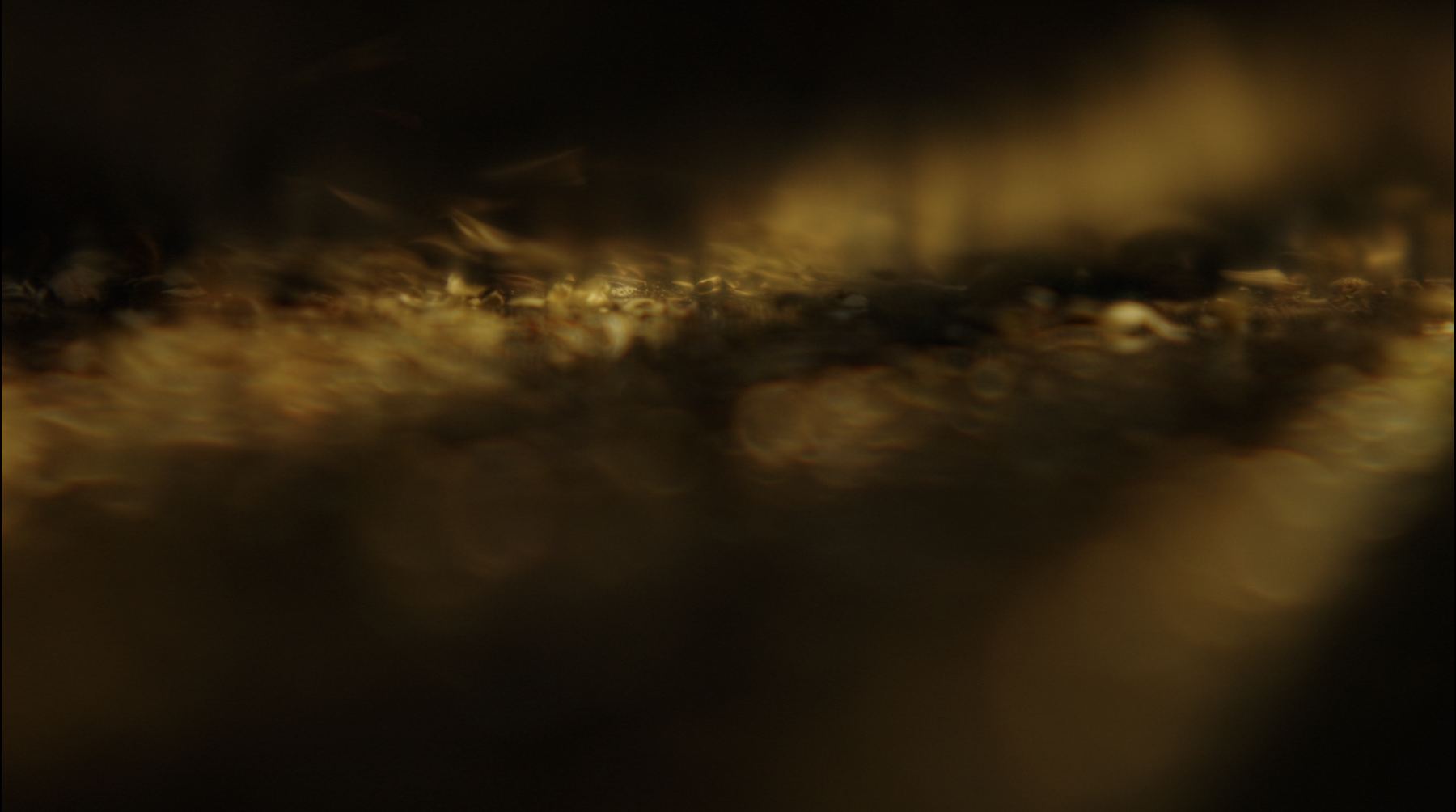 Apricity 3